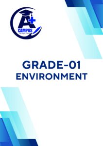 Enviroment-1st Term-Gr-01-2026