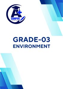 Environment-1st Term-Gr-03-2026